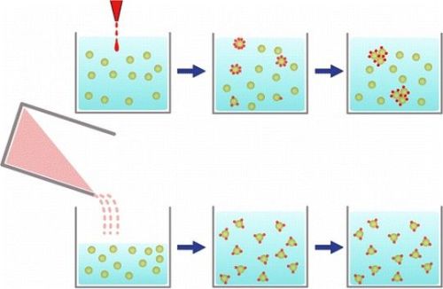 Staff Football League Winners, Spring 2010