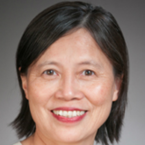 Emeritus Professor Yiyan Wang profile-picture photograph