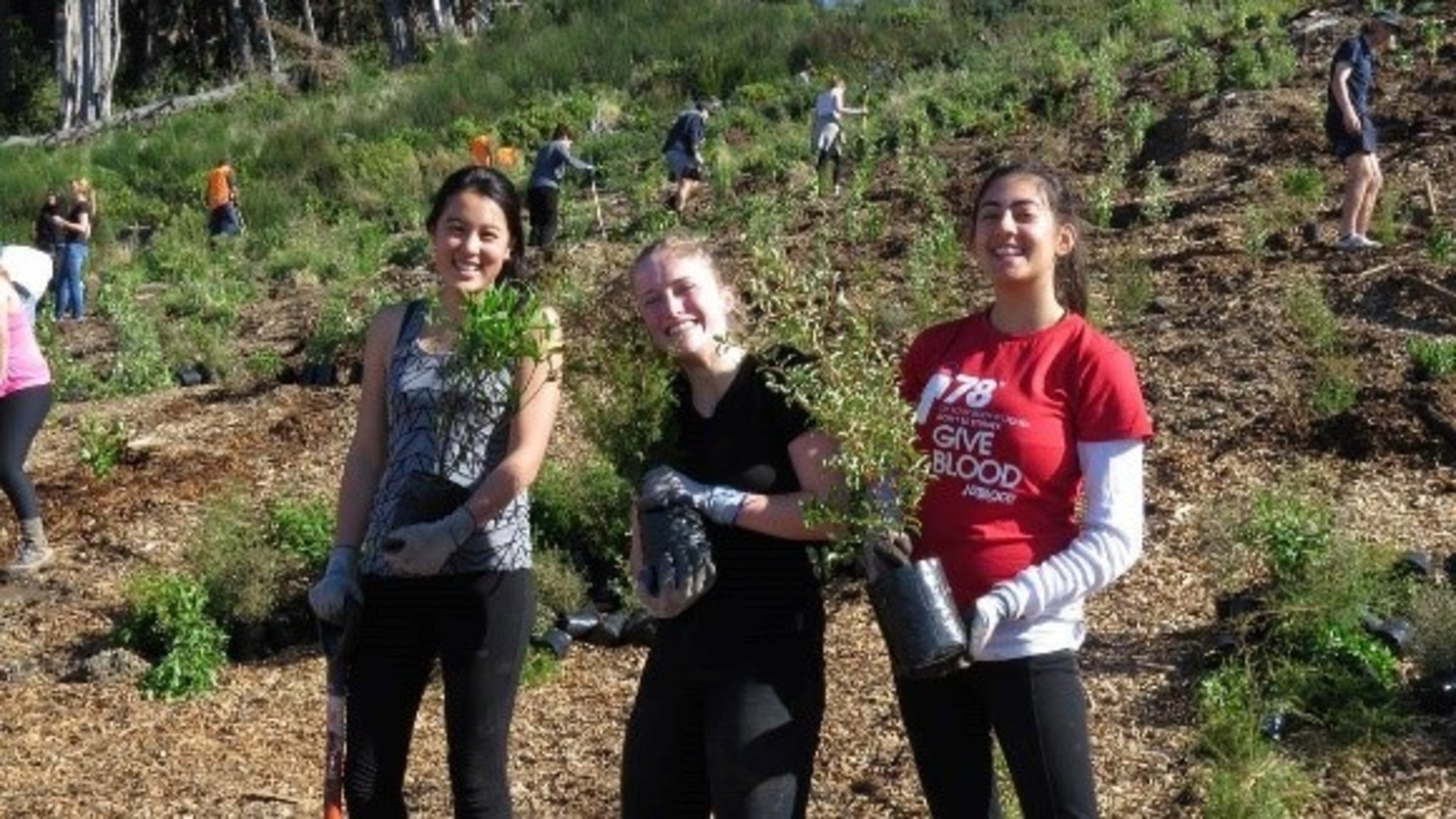 Three students volunteering to plant trees.