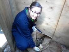 Pest control possums