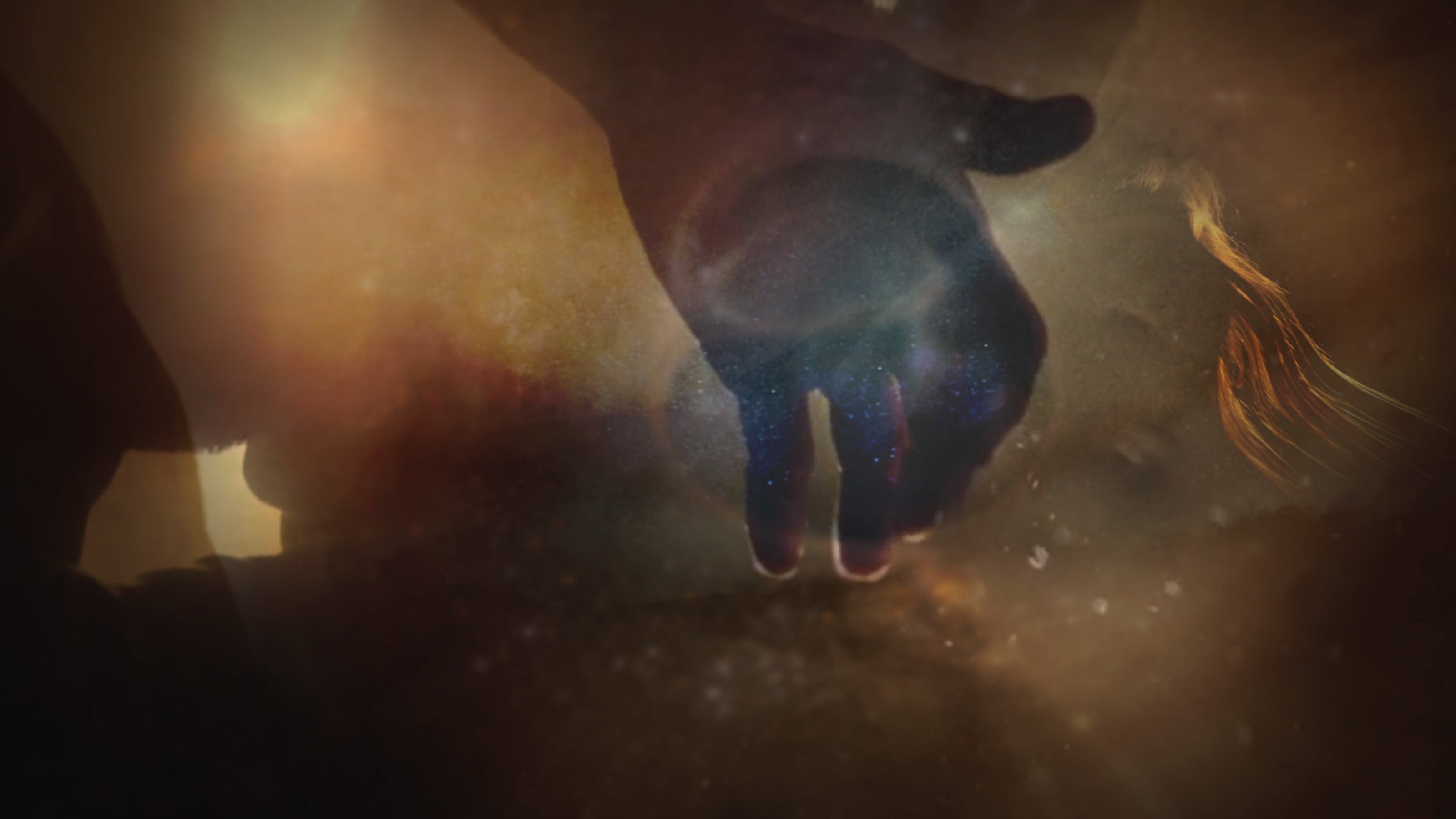 Abstract montage of dark brown images