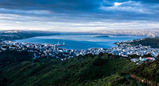 View of Wellington harbour