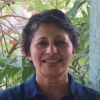 Dr Sita Venkateswar profile-picture photograph