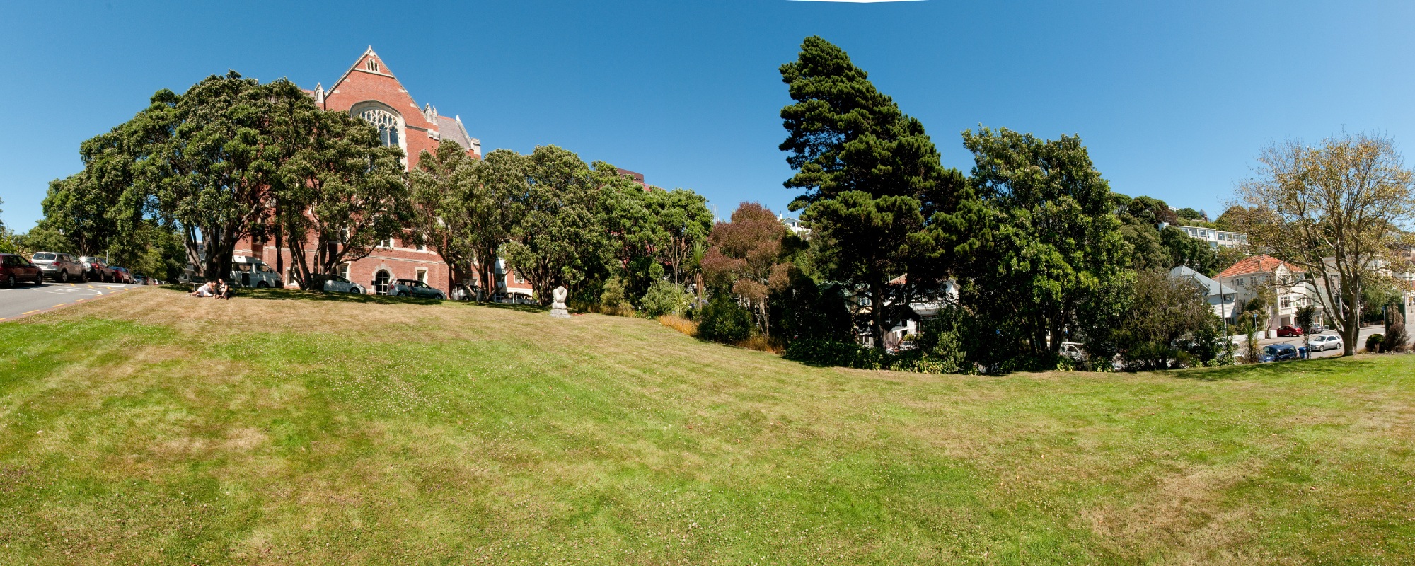 Hunter building lawn.