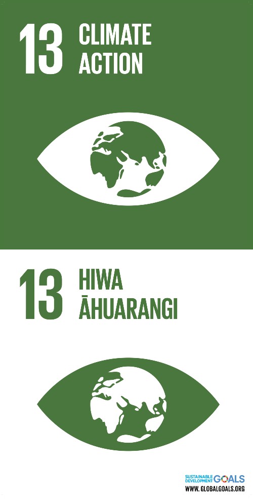 A green and white graphic logo of the planet earth within an oval for the UN SDG 13: climate action - in both English and te reo Maori