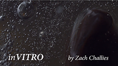 Screenshot from In-Vitro by Zach Challies