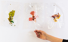 A sample of Annabelle's project, Nothing Food.