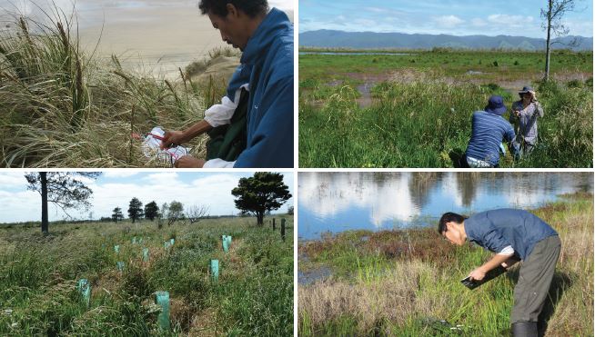 Ecological restoration