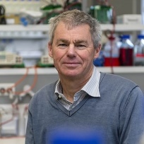 Prof Graham Le Gros profile-picture photograph