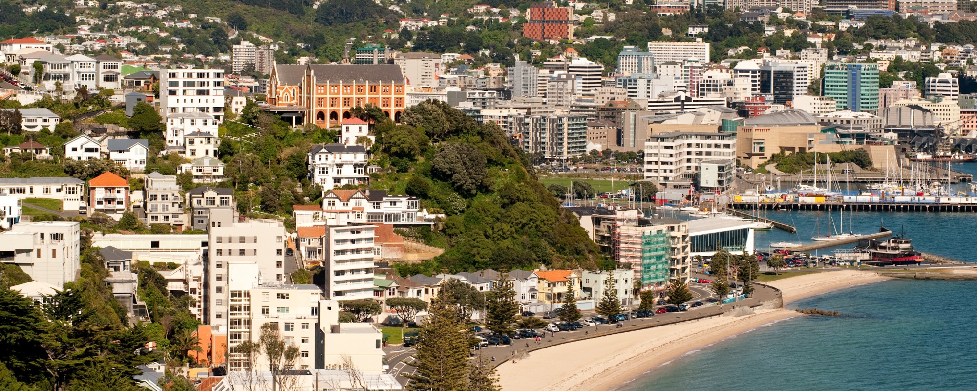Oriental Bay