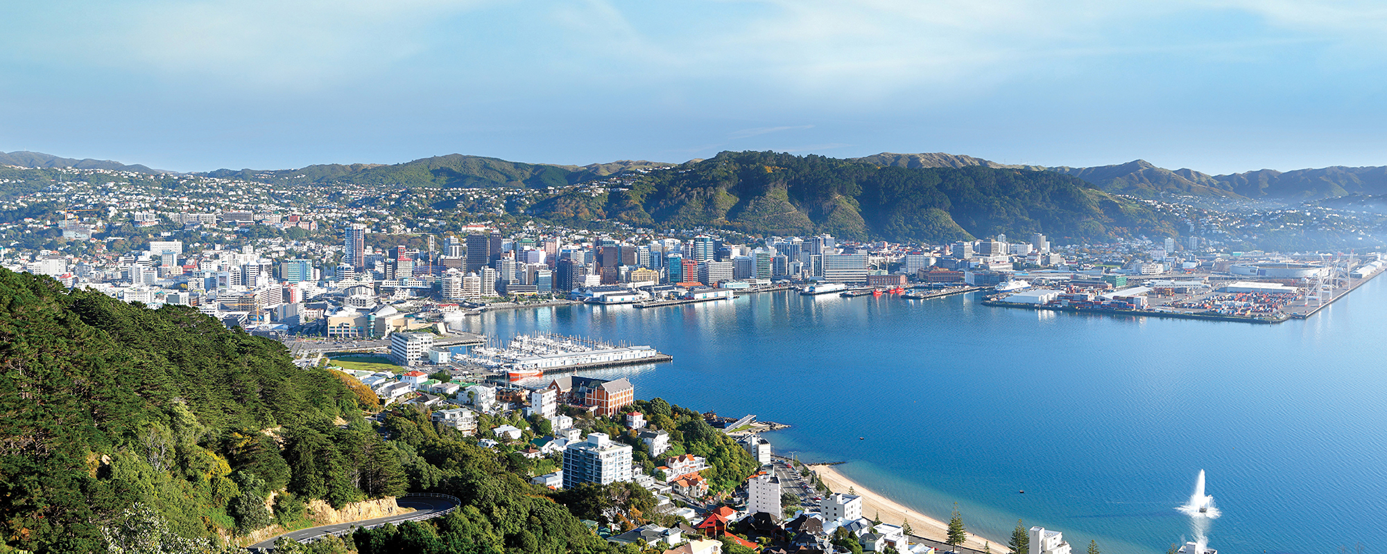 Wellington Harbour