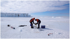 antarctic-microbes