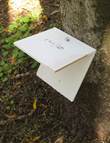 A chewcard nailed to a tree