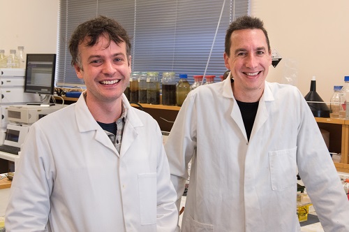 Dr Jeremy Owen and Associate Professor David Ackerley.