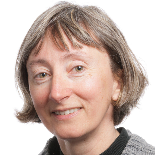 Professor Paola Voci profile-picture photograph
