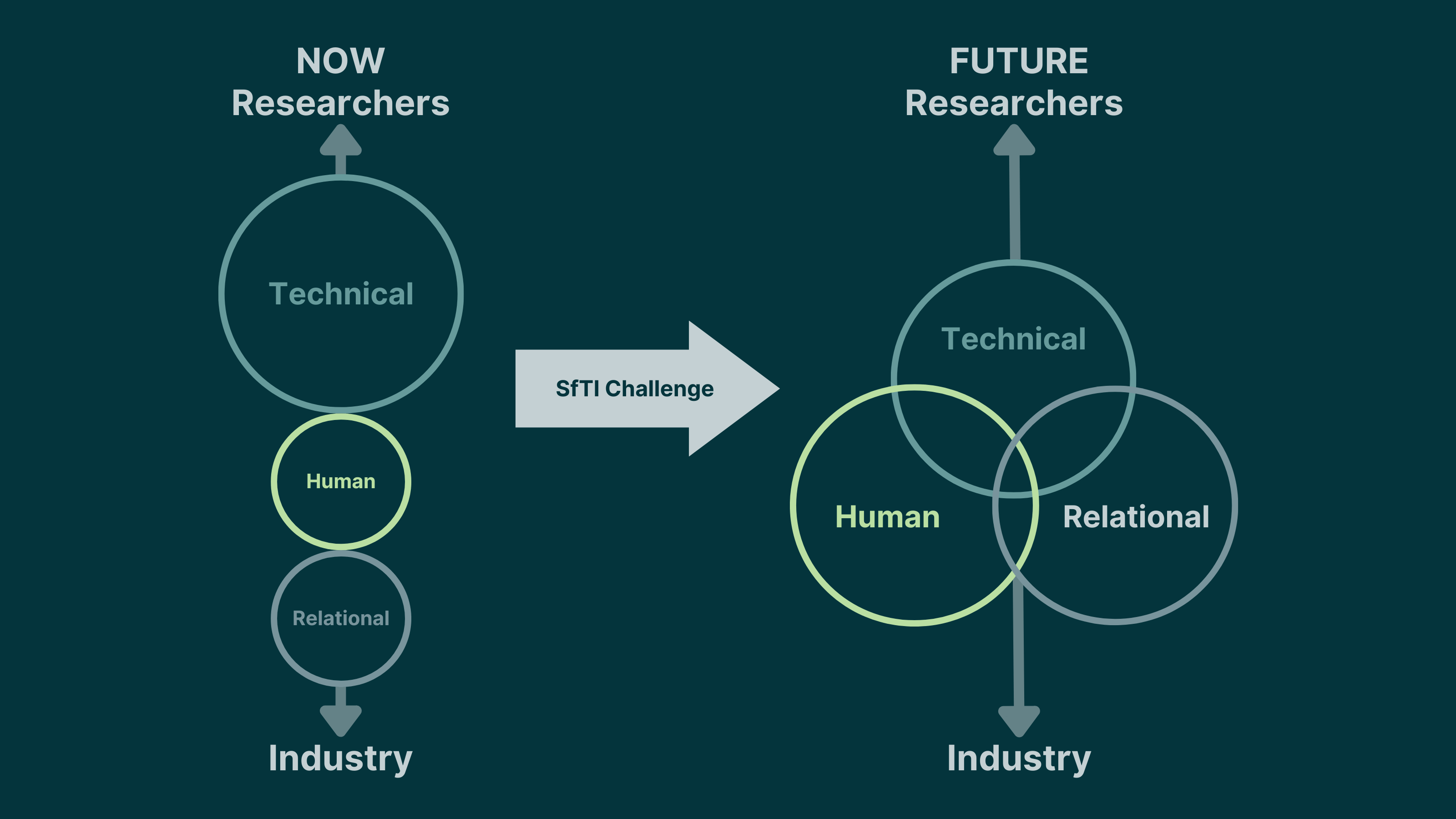 Visual representation of the dimensions of capacity proposed for SfTI