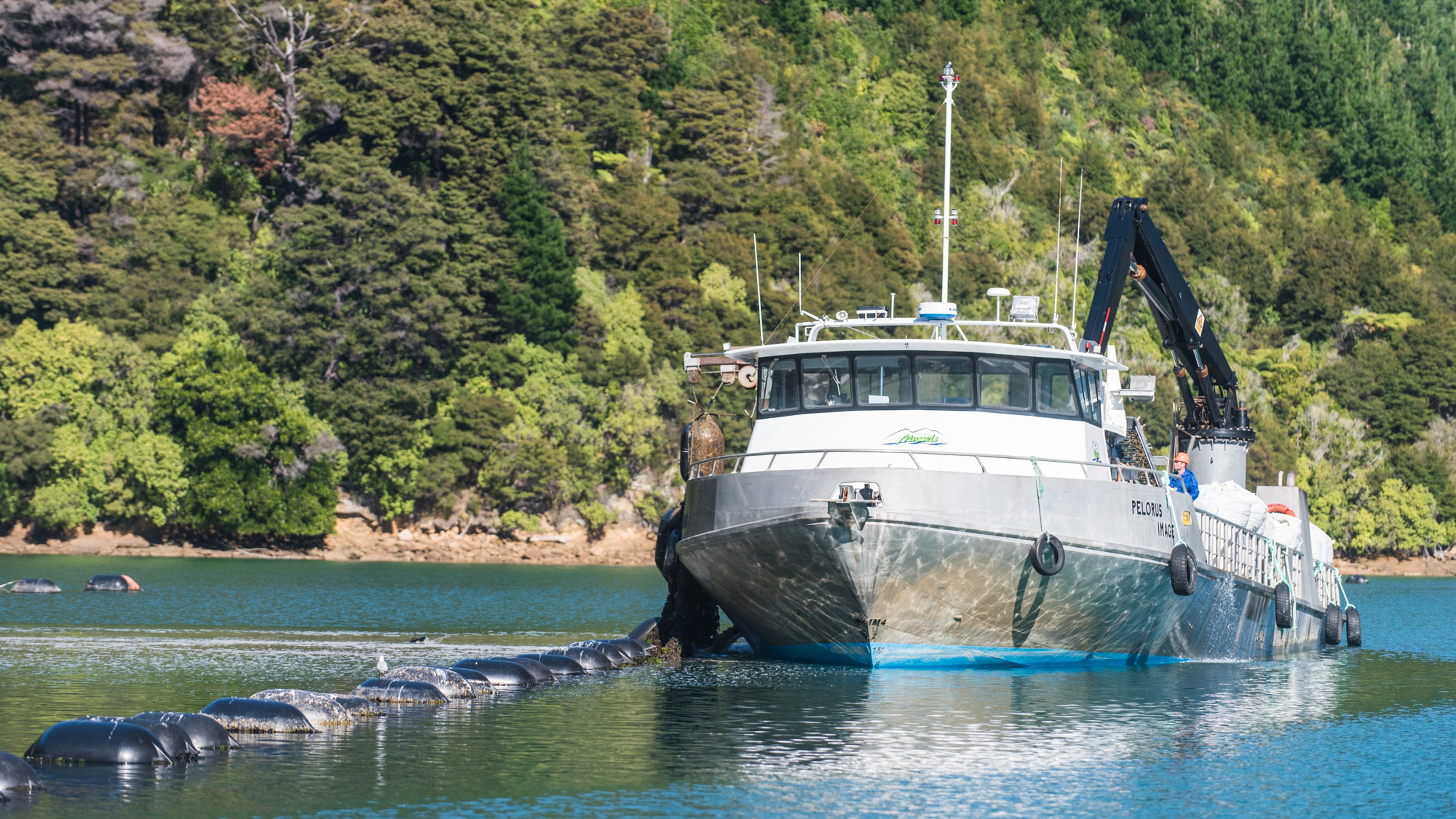 Fishing ship on calm water