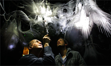 Desform in the Media