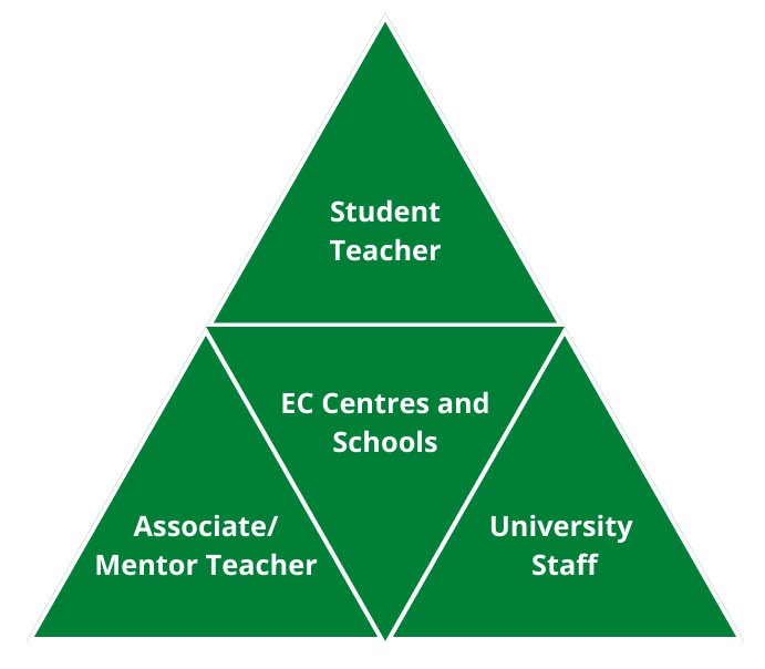 A triangle divided up into four equal triangles representing the relationships in professional practice. The student teacher is at the top, associate or mentor teacher on the bottom left hand side, early childhood centres and schools in the middle and university staff on the bottom right hand side. 