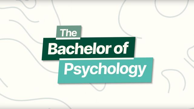 Explore the Bachelor of Psychology degree