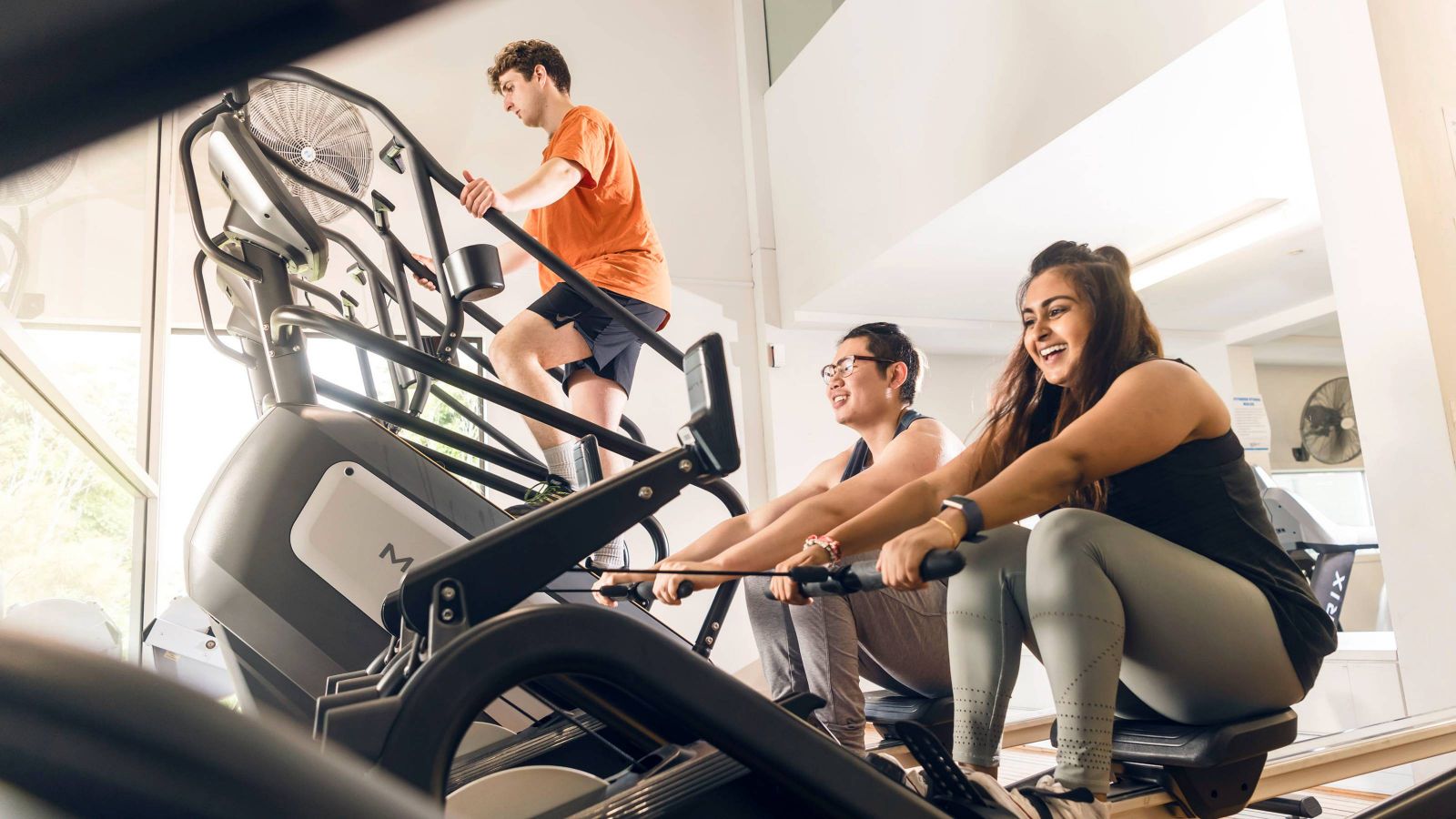 Rowing machine and stair master