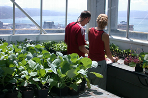 Two researchers in a greenhouse.