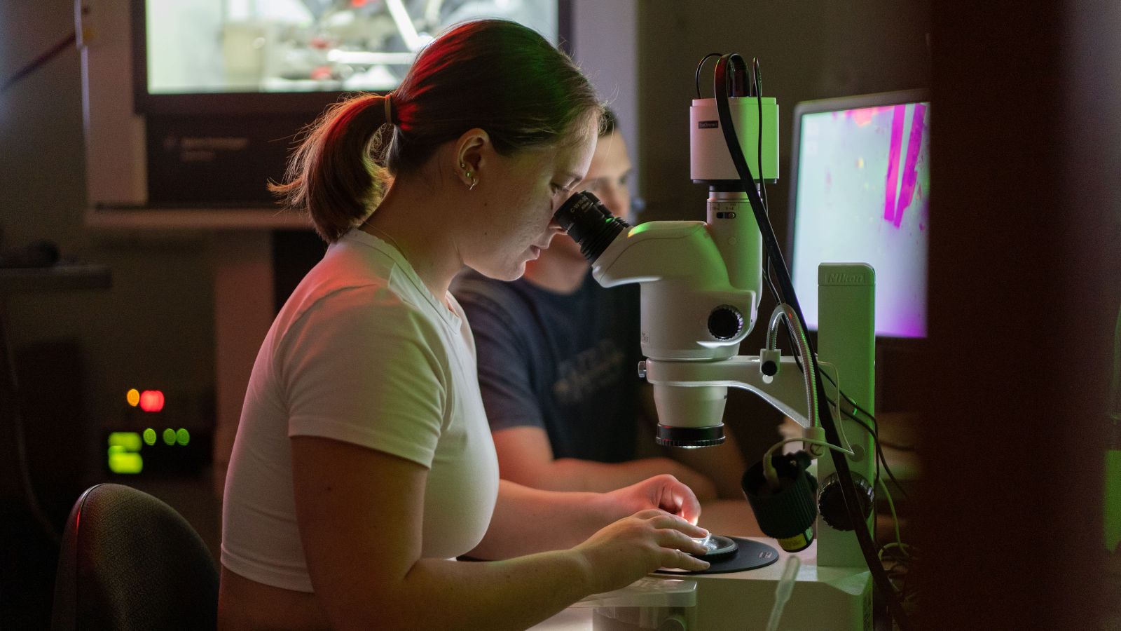 A student looks through a microscope. Image copyright Victoria University of Wellington.
