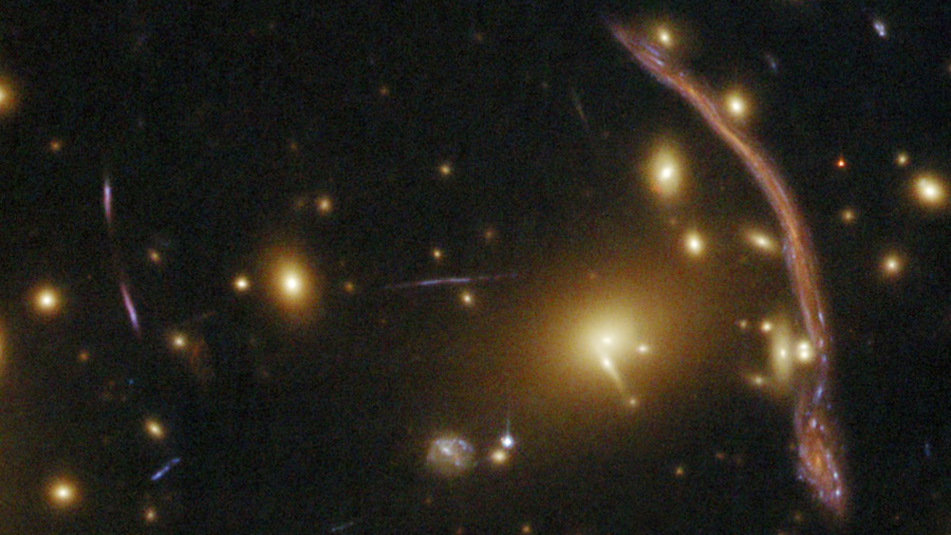 blurry light blobs on black background