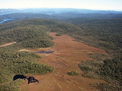 Kaipo bog