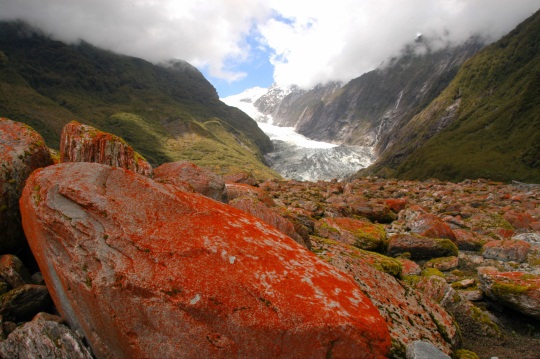 Franz Joshep Glacier
