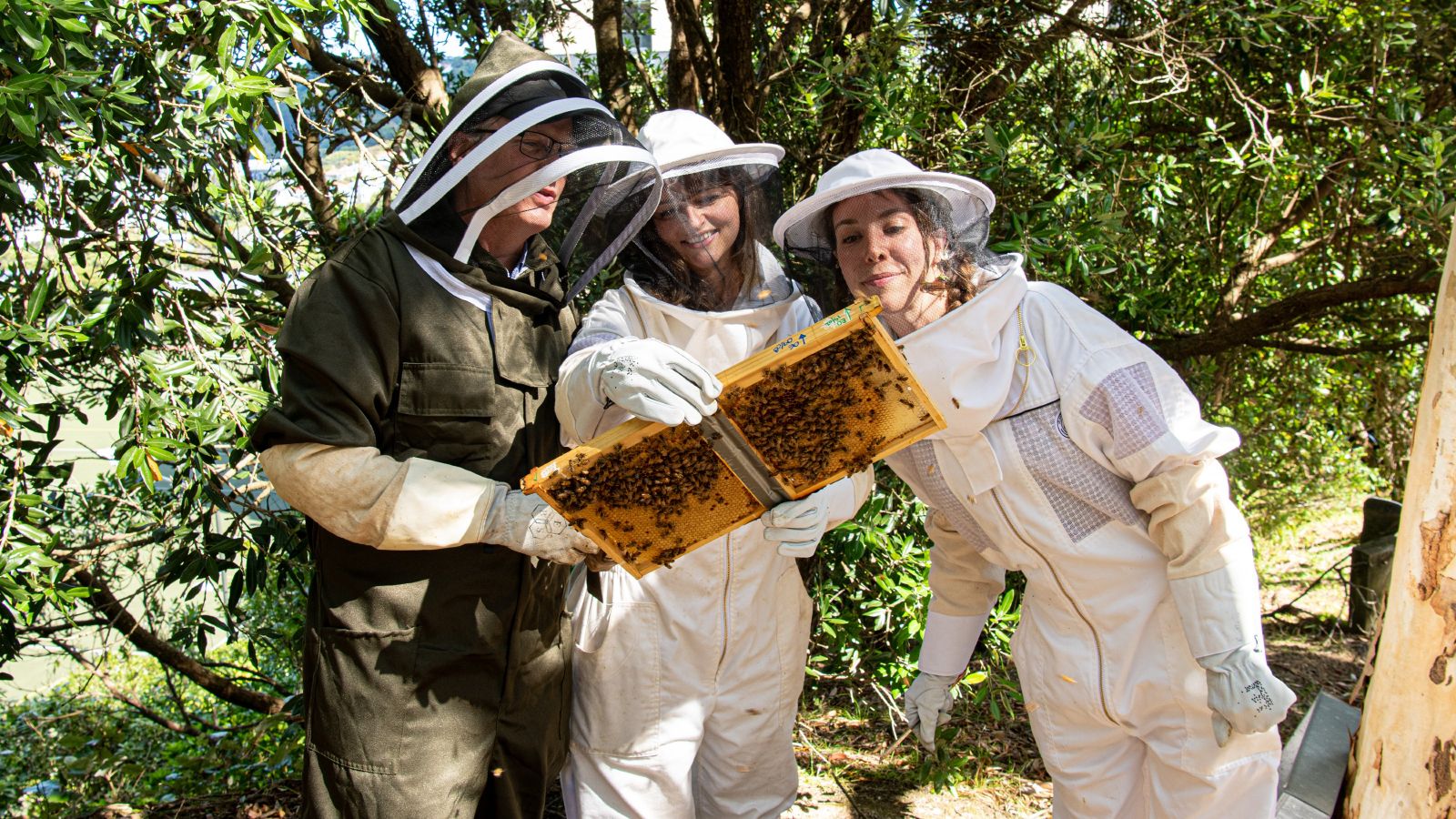  Professor Phil Lester and students by research beehives