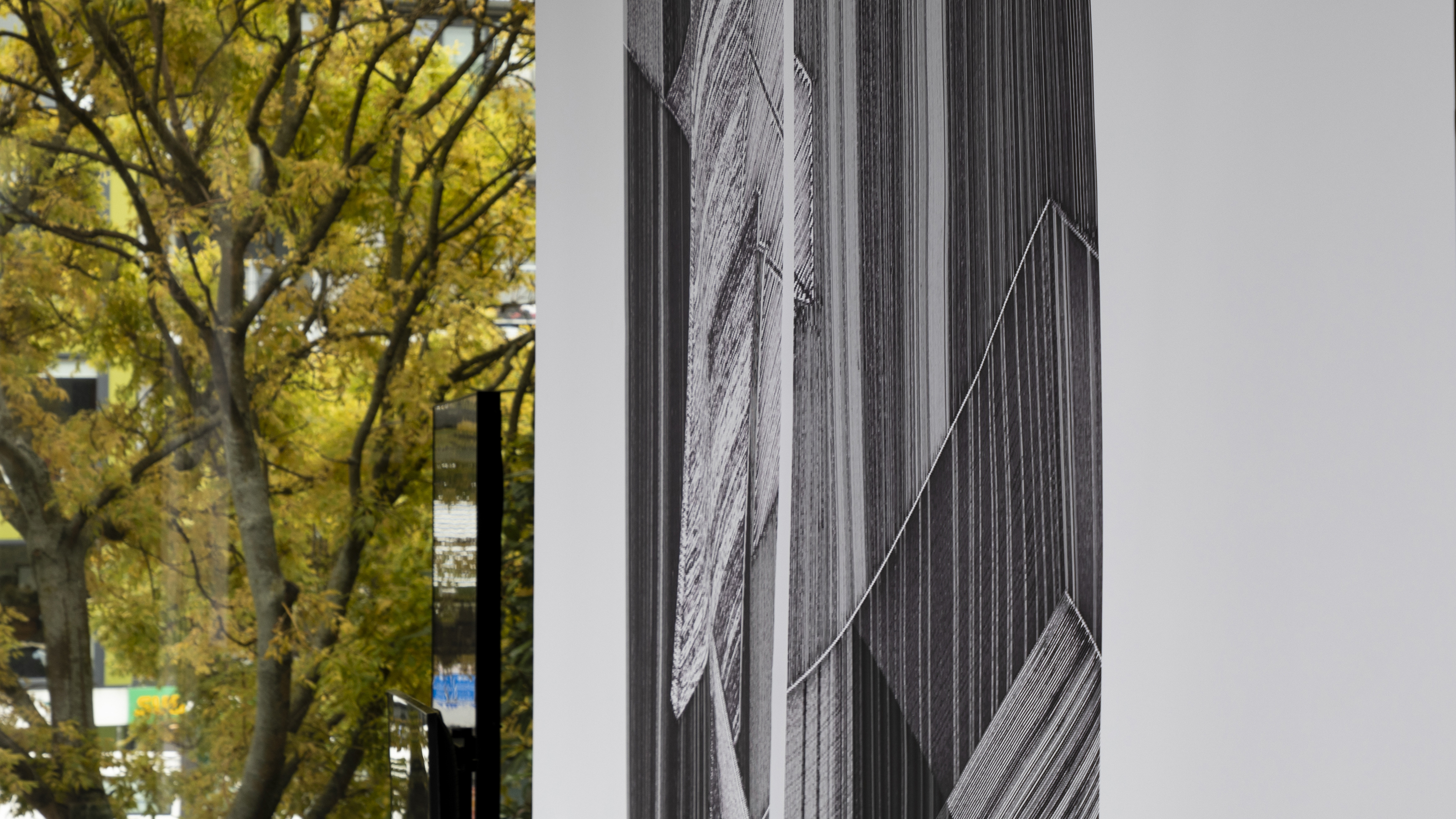 black and white print with trees seen in the background